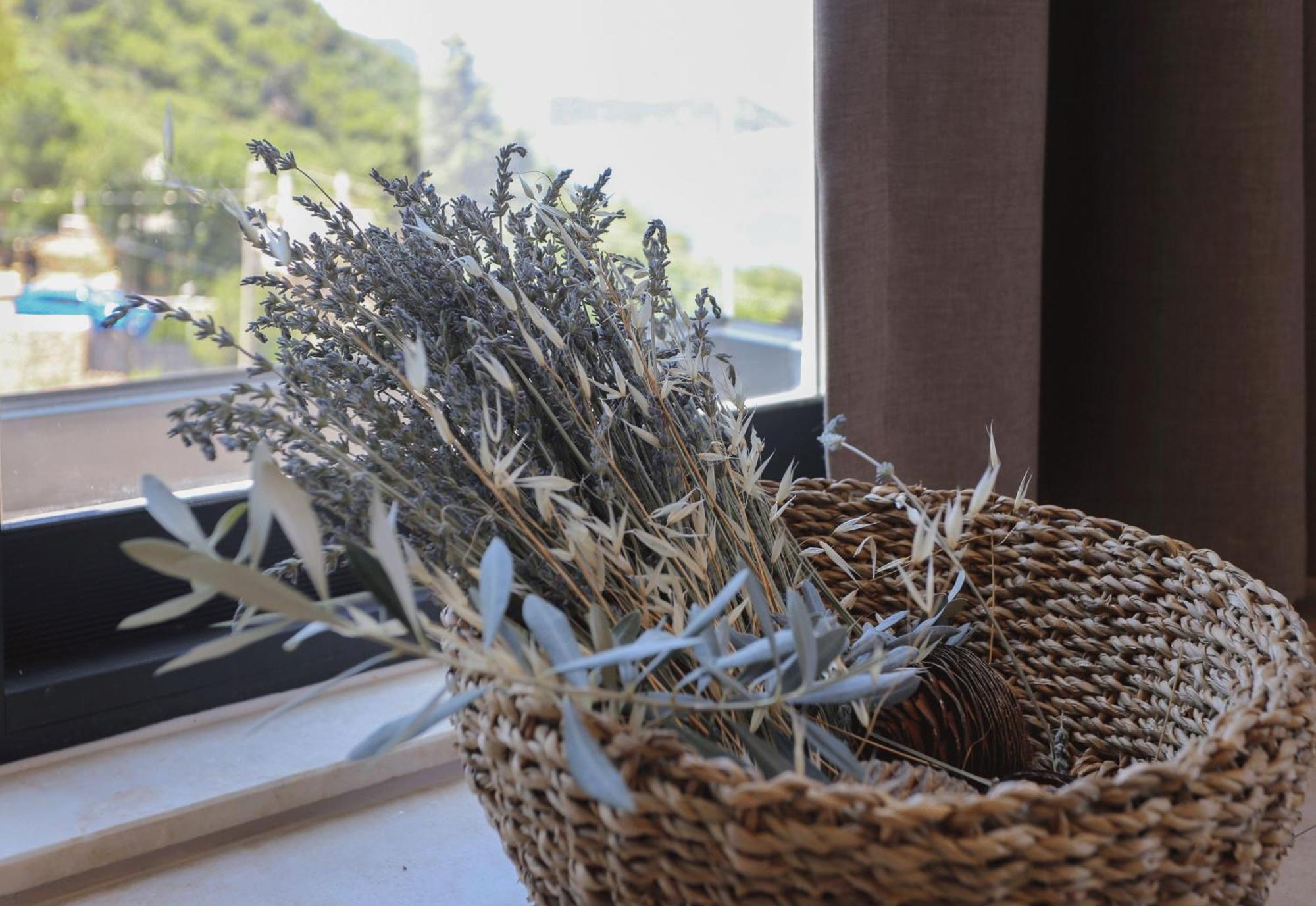 Kaktus Suites Kaş Eksteriør billede